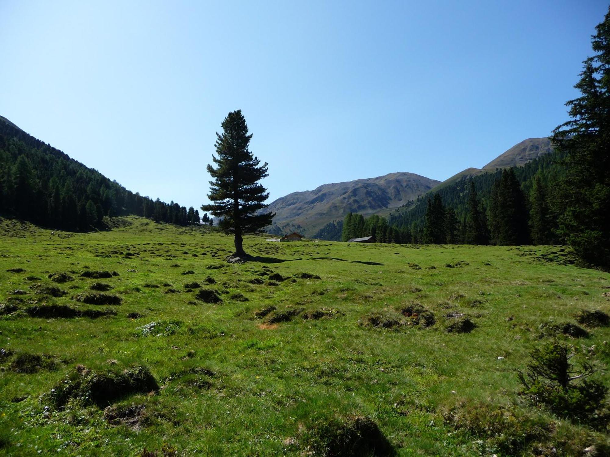 Apart Piz Mondin Pfunds Exteriér fotografie