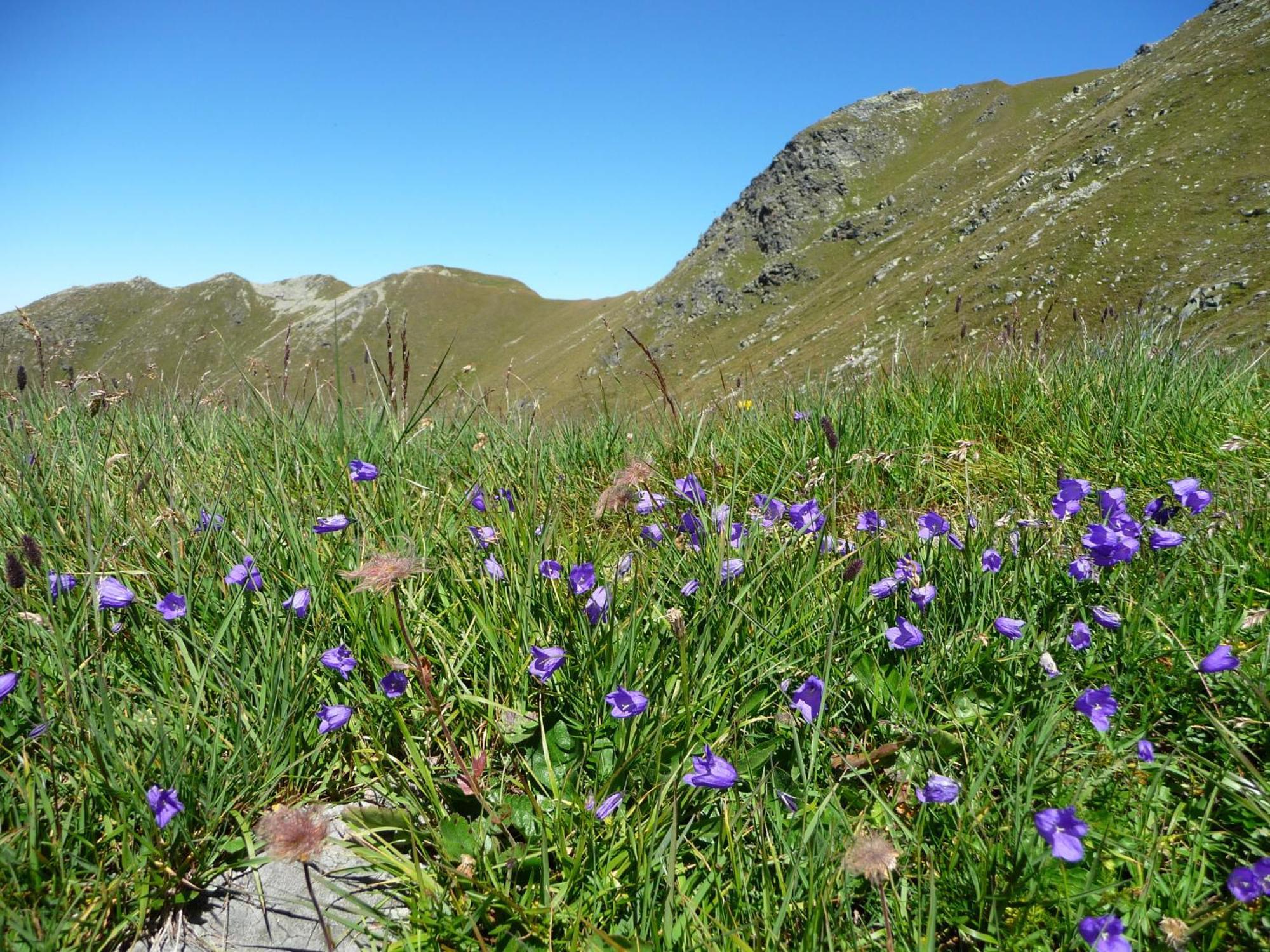 Apart Piz Mondin Pfunds Exteriér fotografie